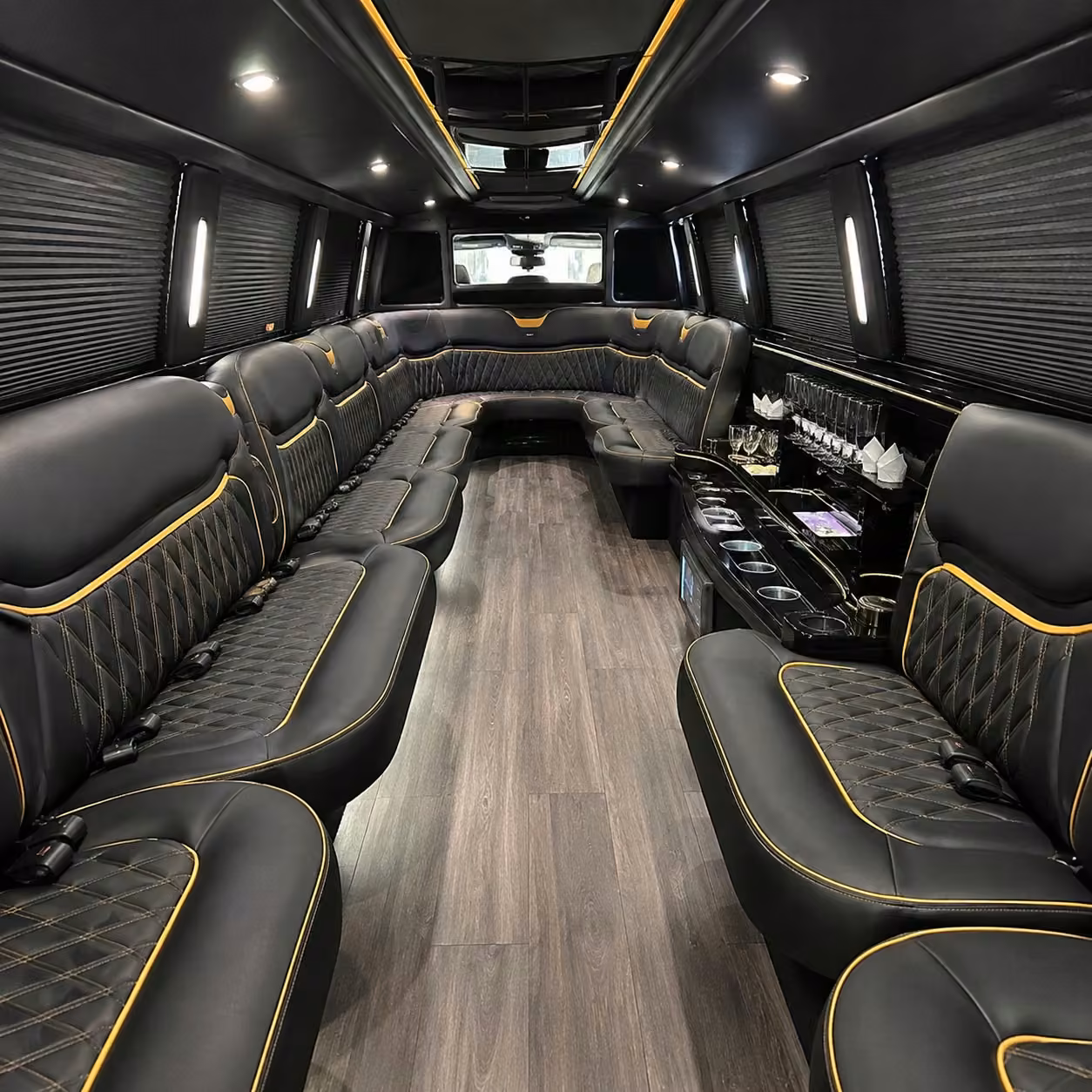 tampa limo interior